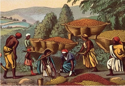 História do café